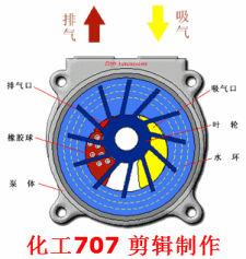 水環式真空泵2.gif