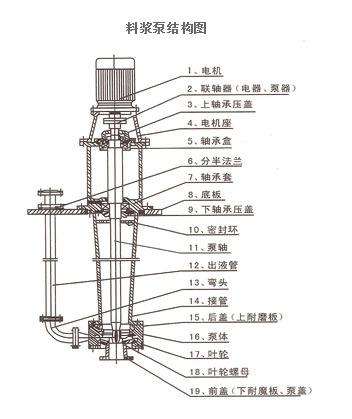 料漿泵結構圖.jpg